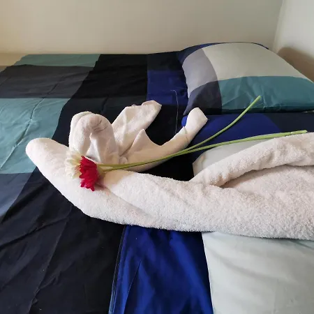 Piccola Stella * 파르마